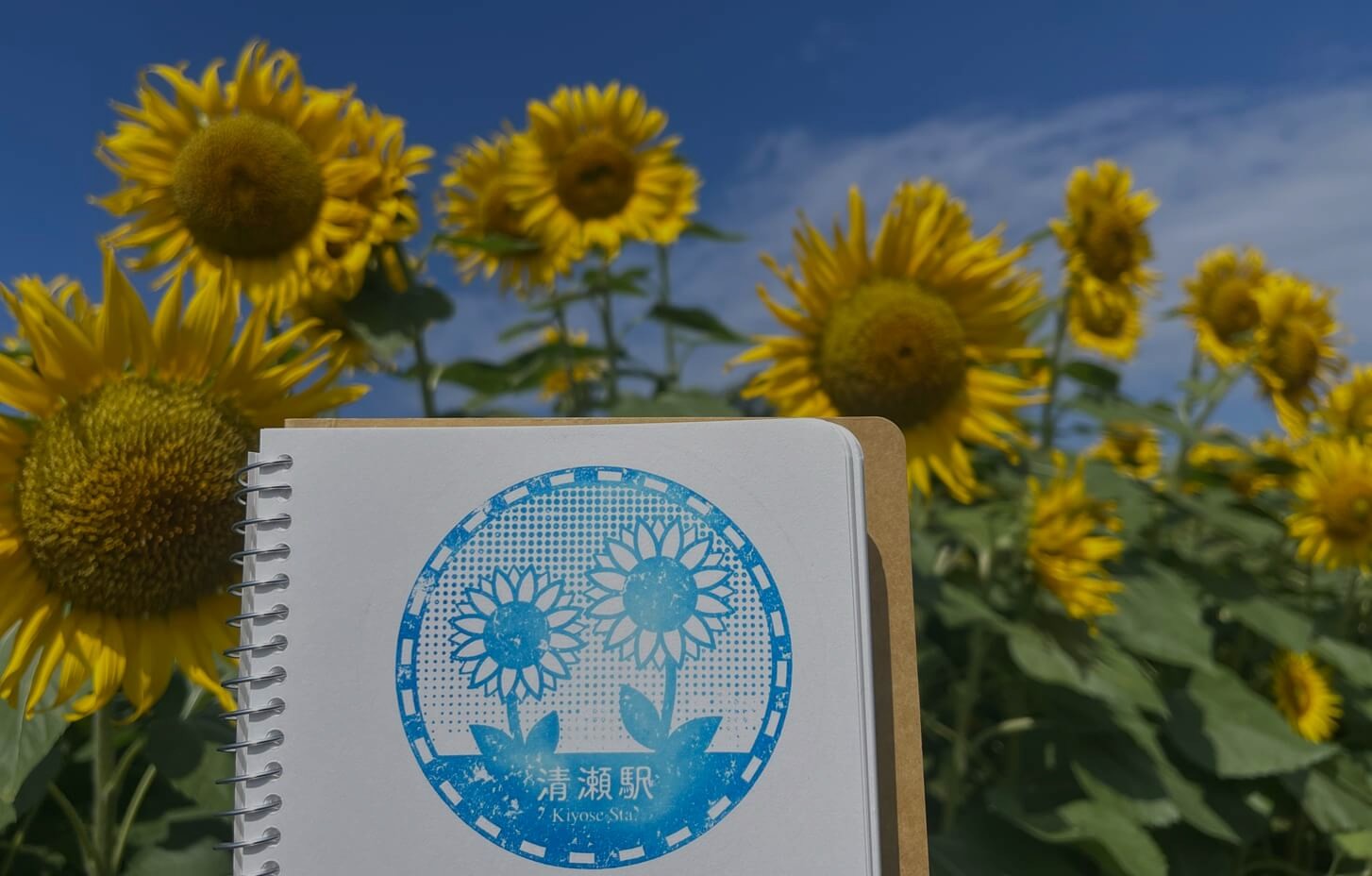 Japan Stamp Hunt
