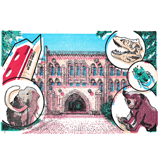 The Hokkaido University Museum Overlay Stamp
